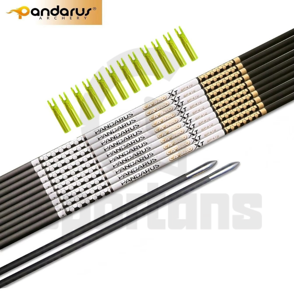 Pandarus Elite CA320 XT Aluminium Carbon Arrows