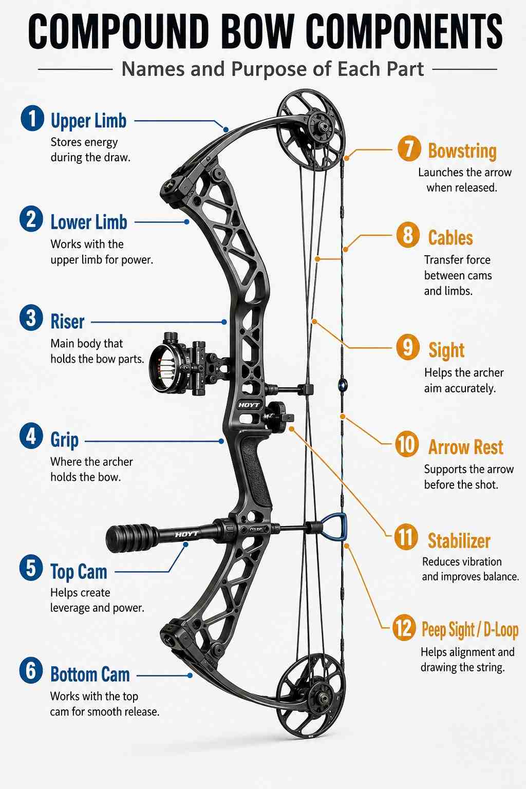 Compound Bow with It's components and purpose